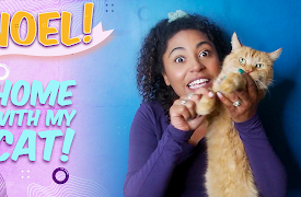 Yippee Stars at Home: Home with my Cat!