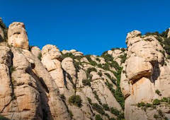 Visita Papa a España: Vigília Montjuïc