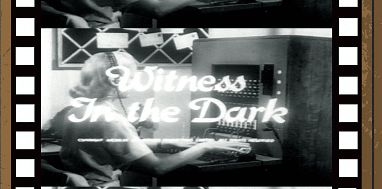Witness in the Dark (2008)