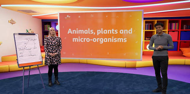 9:00 AM: Bitesize Daily: 9-11 Year Olds | CBBC | 3/4 2026