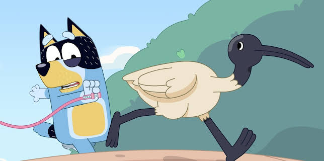 16:35: Bluey: Shaun | NRK Super | 12/3 2025