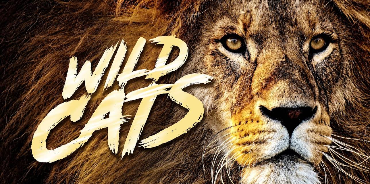 Wild Cats (Season 1)