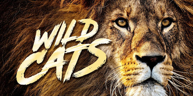Wild Cats (Season 1)