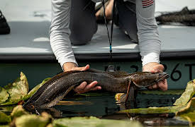 The Captain's Log With Capt. Jonathan Moss, Season 2: Exotic Encounters