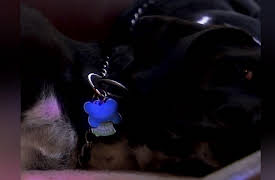 The Haunted Season 1: The Ghost Box Prophecies