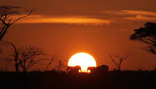 Juwel der Elefantenküste - Afrikas Wunderland Isimangaliso