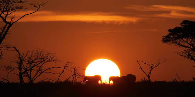 02:40: Juwel der Elefantenküste - Afrikas Wunderland Isimangaliso | 3SAT | 12/4 2025