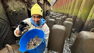 08:15: Pia und die wilde Natur | Das Erste | 3/28 2026