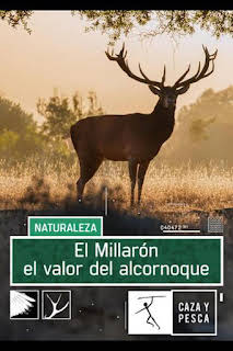 18:05: El Millarón. El valor del Alcornoque | Caza y Pesca | 8/27 2026