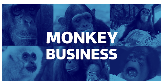 Monkey Business