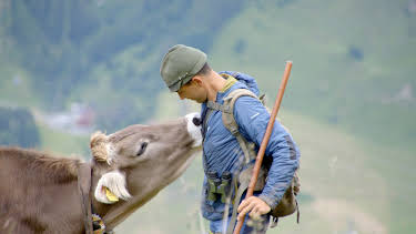 03:58: Almgeschichten aus Tirol | 3SAT | 3/30 2026