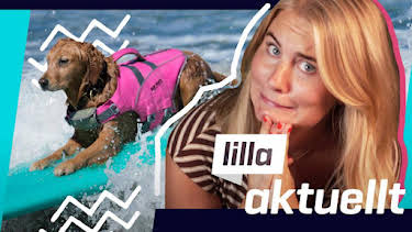 19:15: Lilla Aktuellt | Barnkanalen | 8/18 2026
