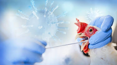 14:15: Gefahr aus dem Stall - Erst das Tier, dann wir? | Tagesschau 24 | 3/28 2026