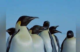 Journey with Dylan Dreyer S1: Antarctic