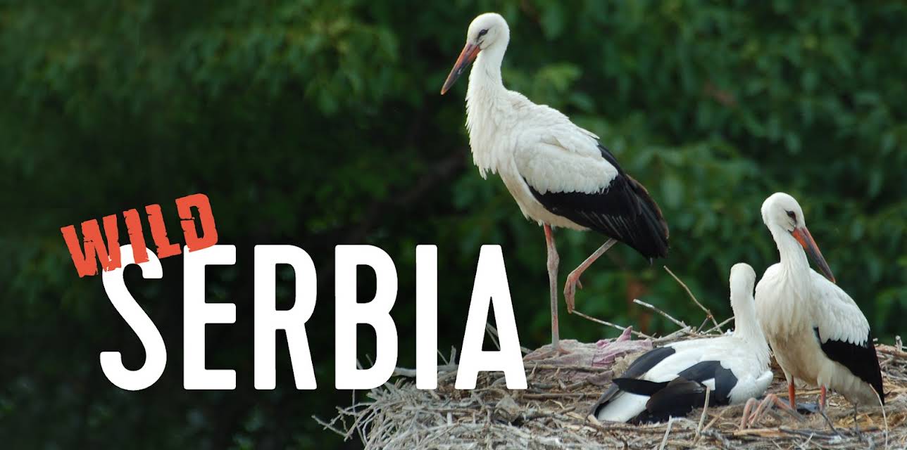 Wild Serbia (2013)