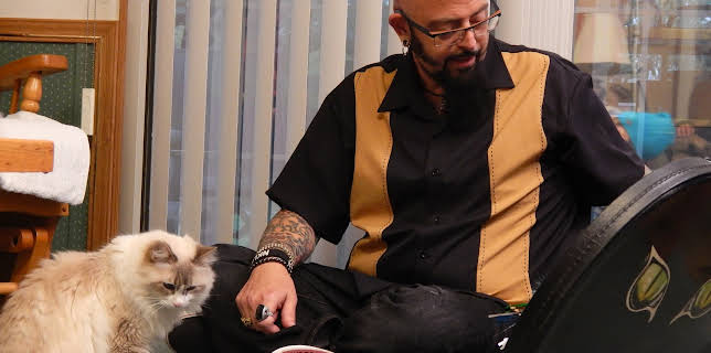 16:00: My Cat From Hell (S5 E6) (S5) | Animal Planet | 11/8 2025