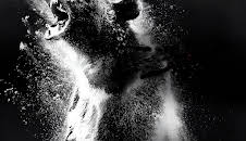 Cocaine Bear