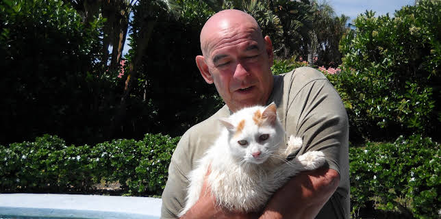 16:00: Cats 101 (S3 E4) (S3) | Animal Planet | 12/17 2025