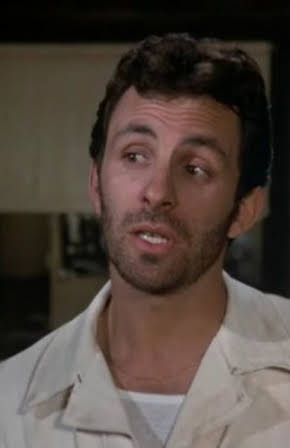 Carl Weintraub as AFO Co-Pilot Lt. Col. Ingrahams