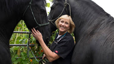 10:25: Dr. Dee: Alaska Vet (S1 E8) (S1) | Animal Planet | 12/27 2025