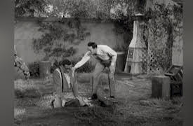 The Joey Bishop Show: Back in Your Own Backyard