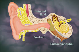 The Hidden Power of Microbes: How to Endure: Adapt, Be Small, and Go Quiet