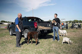 Car Issues: The Transformer