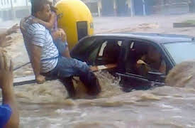 Chaos Caught on Camera: Iskold effekt, pludselig oversvømmelse, dødeligt rådyr