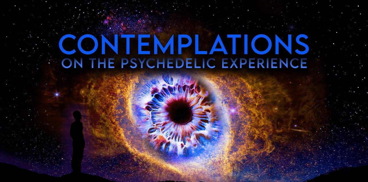 Contemplations: On the Psychedelic Experience (2022)