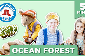 Scout & The Gumboot Kids: The Case of the Ocean Forest