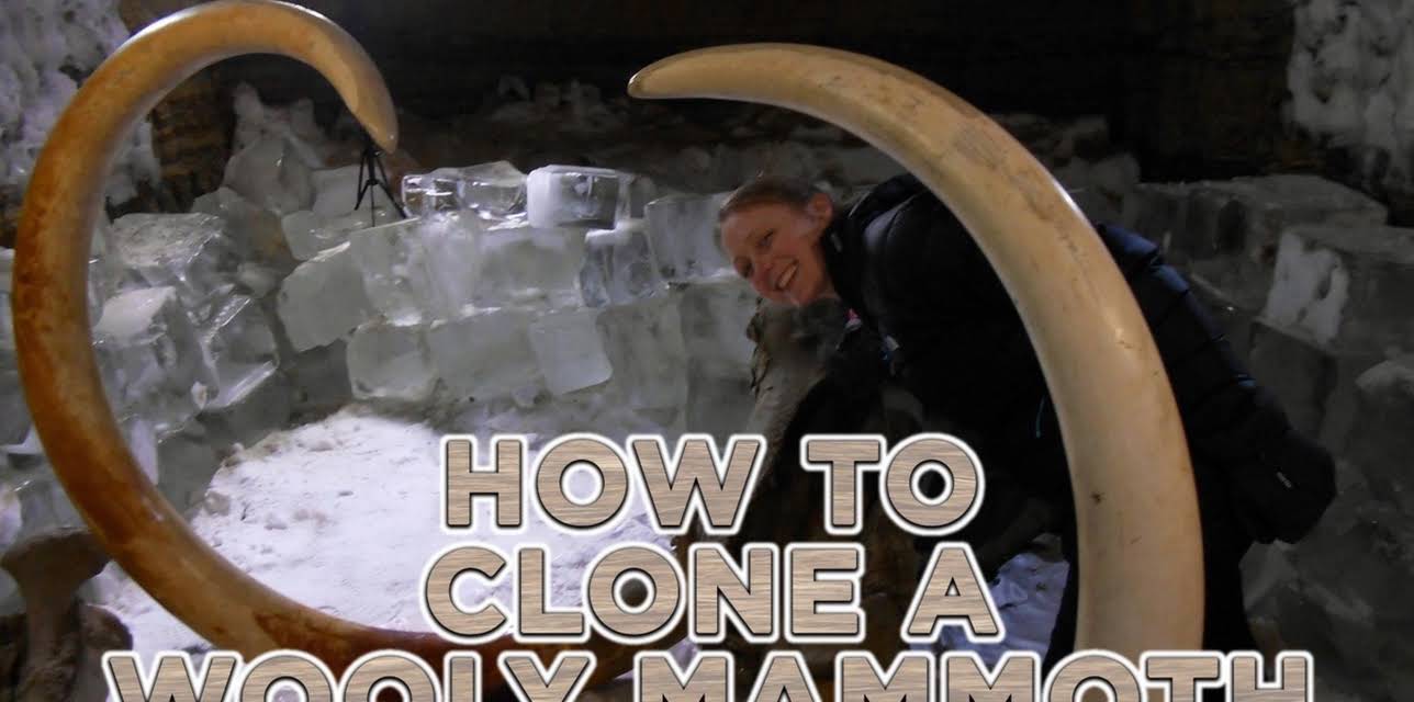 How to Clone a Woolly Mammoth