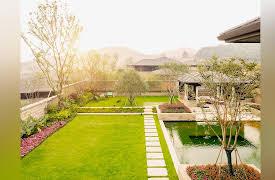 How to Grow Anything: Make Your Trees and Shrubs Thrive: Restoring a Landscape to Health