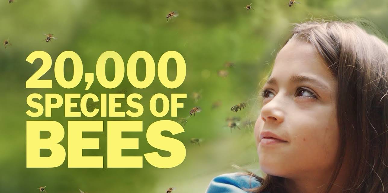 20,000 Species of Bees (2024)