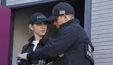 Navy CIS