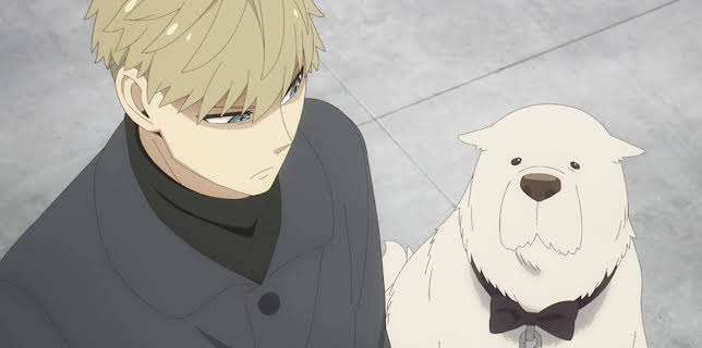 17:40: Spy x Family | ProSieben Maxx | 1/22 2026