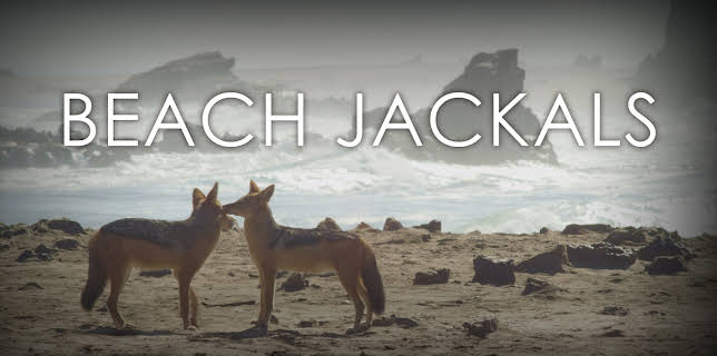 Beach Jackals (2020)