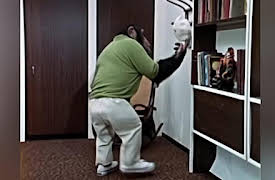 Lancelot Link: Secret Chimp: Lancelot Link: Secret Chimp - The Reluctant Robot / The Royal Foil