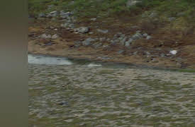 Untamed Americas Season 1: Mountains