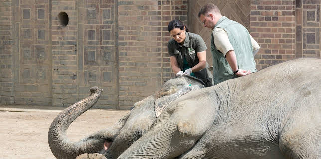 10:20: Tierärztin Dr. Mertens (65) | MDR Fernsehen | 2/14 2026