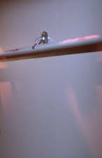 Patrick Culliton as Danny Green