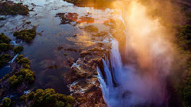 1:00 PM: Natural World | BBC Two | 10/10 2026