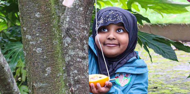 4:00 PM: Ranger Hamza's Eco Quest | Cbeebies | 3/7 2026