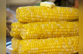 State Plate: Nebraska