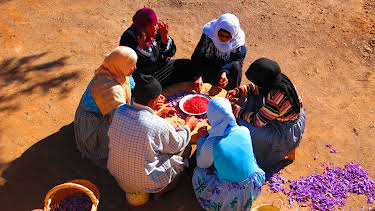 05:30: How Do They Do It? (S10 E2) (S10) | Kanal 9 | 3/31 2026