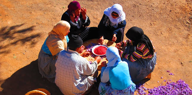 04:30: How Do They Do It? (S10 E2) (S10) | Kanal 9 | 3/31 2026