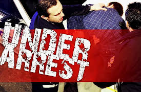 Under Arrest S1: My Name Is Mr. Duck