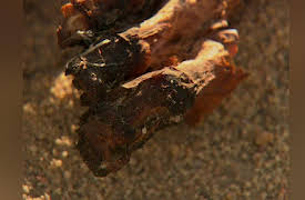 Out of Egypt Season 1: Disposal of the Dead