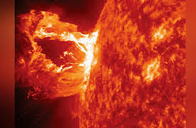 A Field Guide to the Planets: How Our Sun Defines Our Solar System