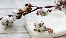 Hvordan den lages (S26 E9)