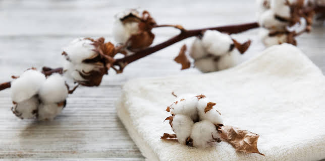 11:12: How It's Made (S26 E9) (S26) | Discovery Science | 11/15 2025